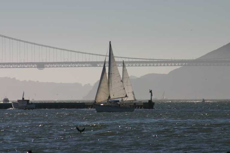 040906_SAFO_011.JPG (30528 Byte)