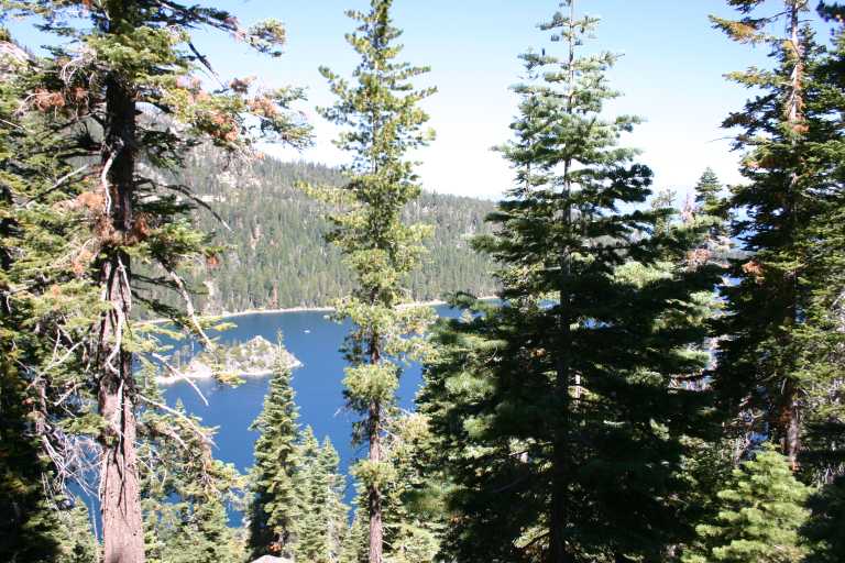 040908_FLLT_001.JPG (96708 Byte)