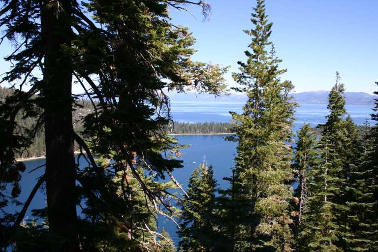 040908_FLLT_003.JPG (79701 Byte)