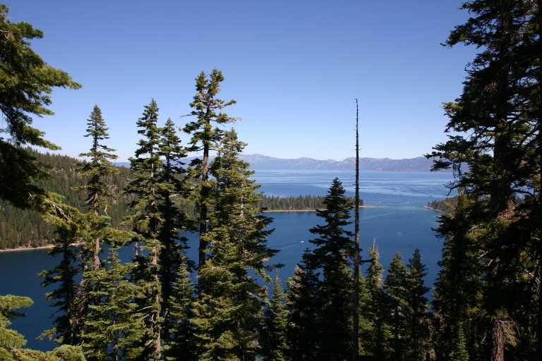 040908_FLLT_004.JPG (64709 Byte)