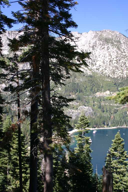 040908_FLLT_005.JPG (87734 Byte)