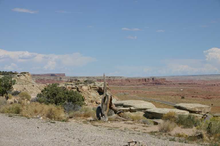 040910_CLGR_001.JPG (42104 Byte)