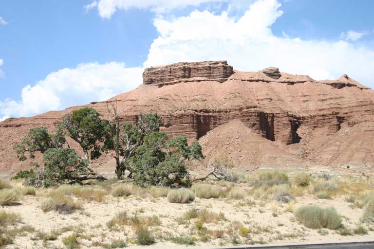 040910_CLGR_004.JPG (59920 Byte)