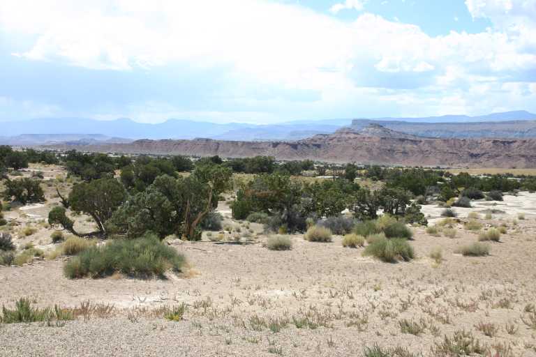 040910_CLGR_006.JPG (54911 Byte)