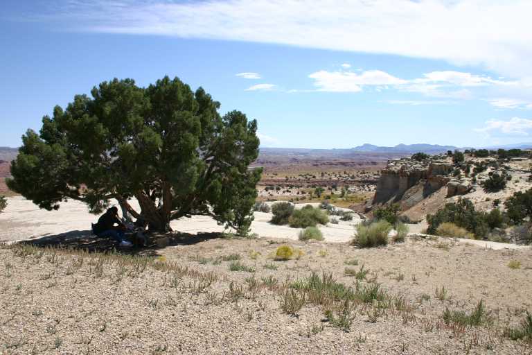 040910_CLGR_007.JPG (64903 Byte)