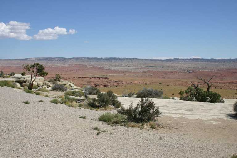 040910_CLGR_008.JPG (47725 Byte)