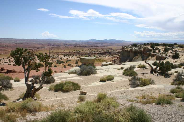 040910_CLGR_009.JPG (60180 Byte)