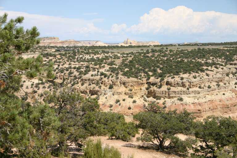 040910_CLGR_013.JPG (75685 Byte)