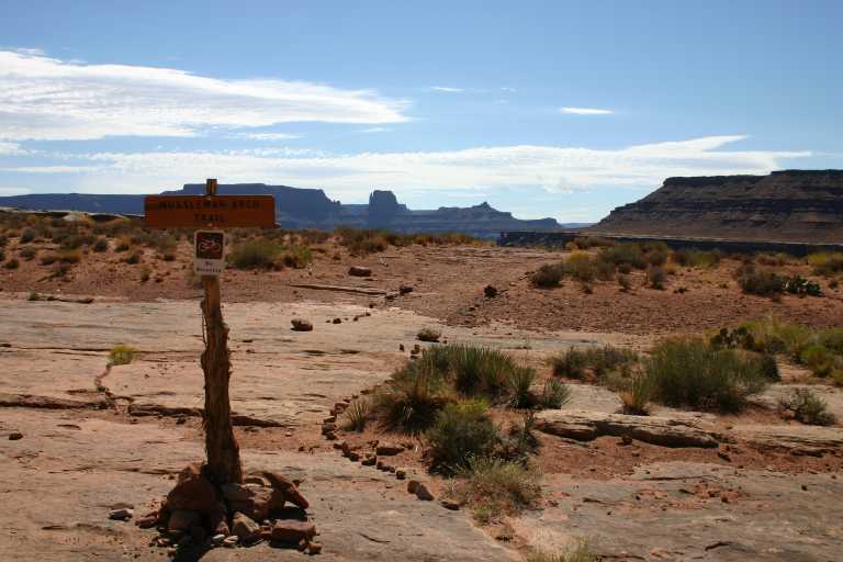 040912_CANL_029.JPG (54161 Byte)