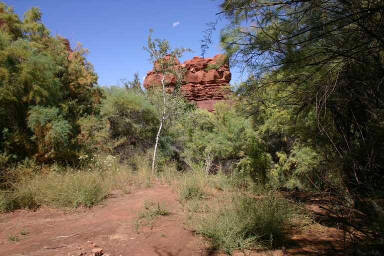 040912_CANL_030.JPG (69485 Byte)