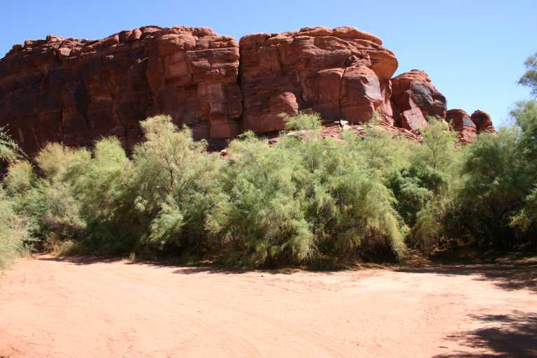 040912_CANL_031.JPG (55666 Byte)