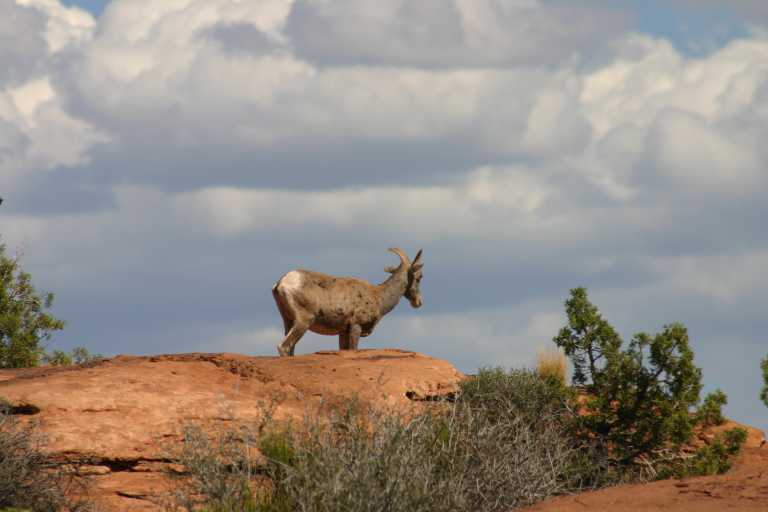 040912_CANL_050.JPG (38271 Byte)