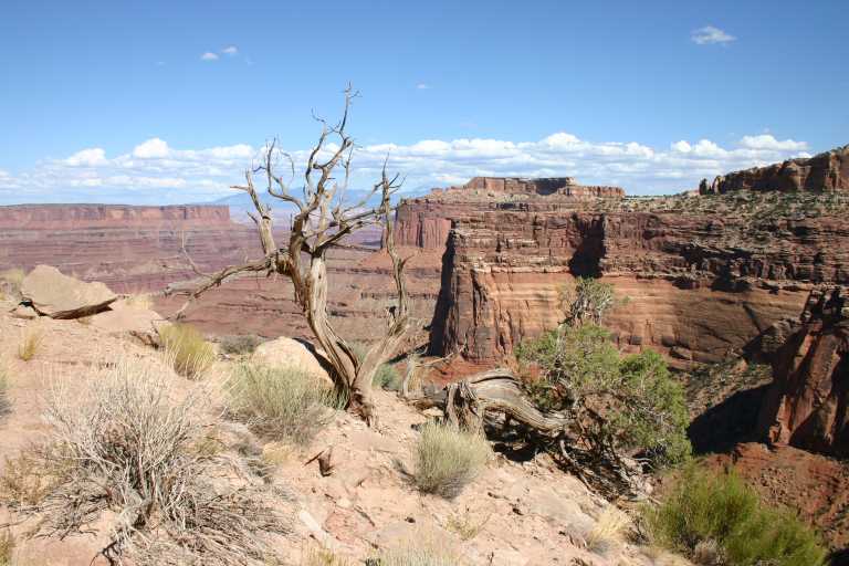 040912_CANL_057.JPG (66631 Byte)