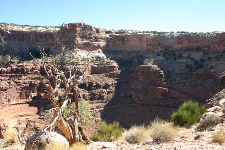 040912_CANL_058.JPG (69939 Byte)