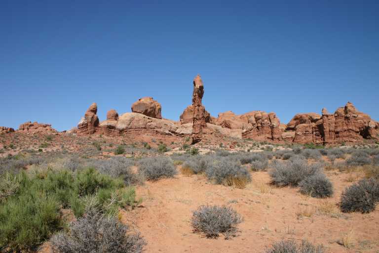 040913_MOAR_007.JPG (47249 Byte)