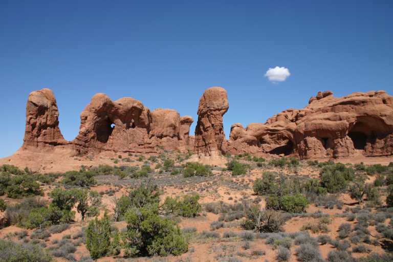 040913_MOAR_018.JPG (55761 Byte)