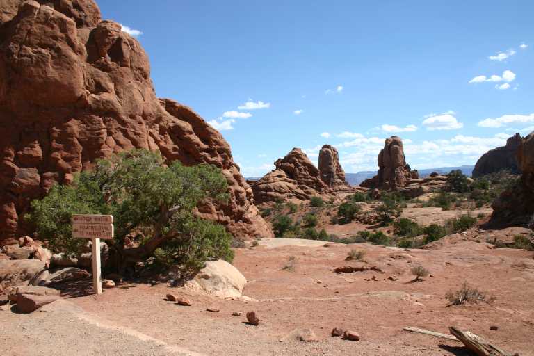 040913_MOAR_026.JPG (59701 Byte)