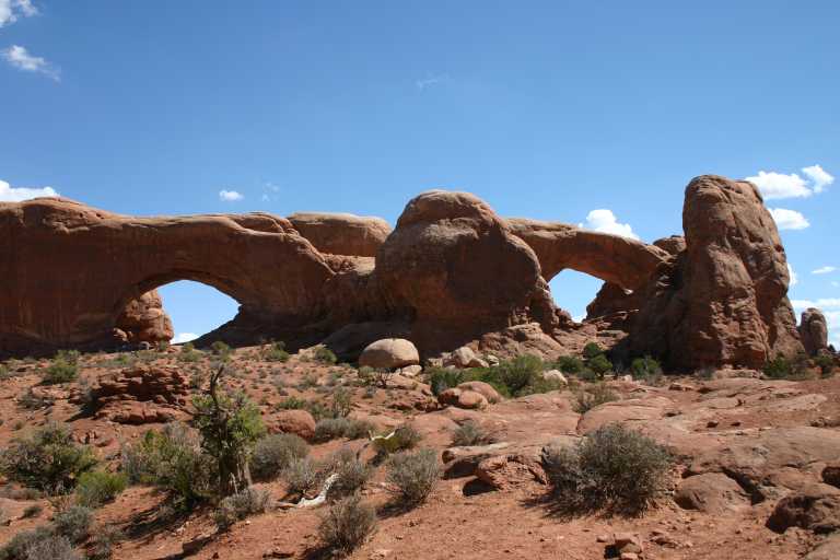 040913_MOAR_029.JPG (52959 Byte)