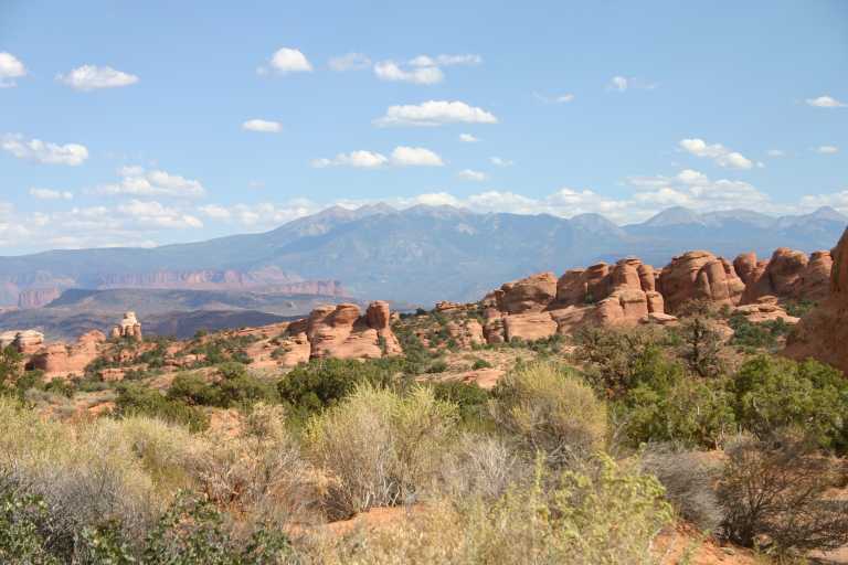 040913_MOAR_042.JPG (53773 Byte)