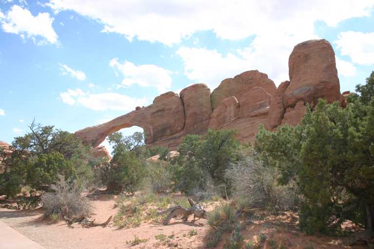 040913_MOAR_043.JPG (51119 Byte)