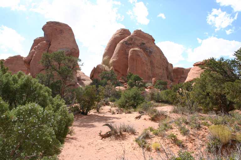 040913_MOAR_044.JPG (63263 Byte)