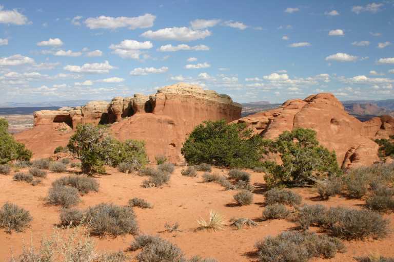 040913_MOAR_047.JPG (57304 Byte)