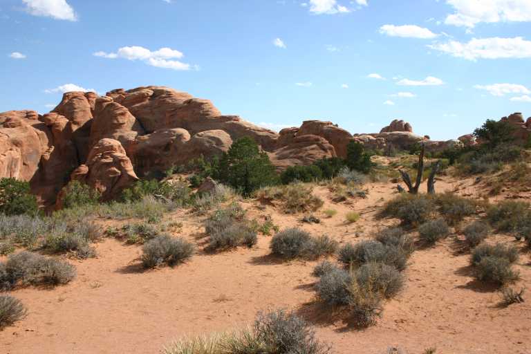 040913_MOAR_048.JPG (55485 Byte)