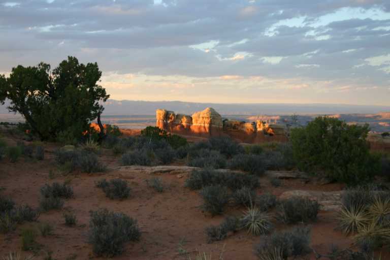 040913_MOAR_052.JPG (36249 Byte)