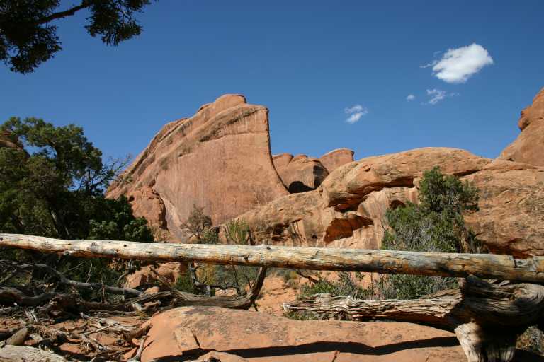 040914_ARCH_041.JPG (61494 Byte)