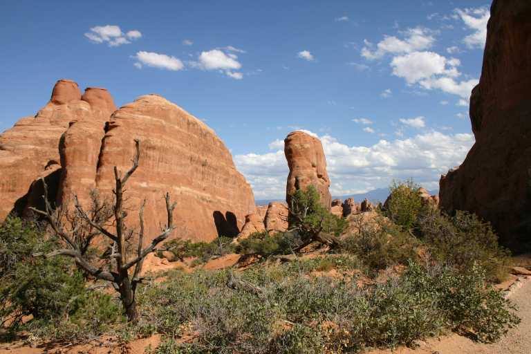 040914_ARCH_042.JPG (63331 Byte)