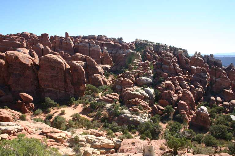 040915_ARMO_011.JPG (67256 Byte)