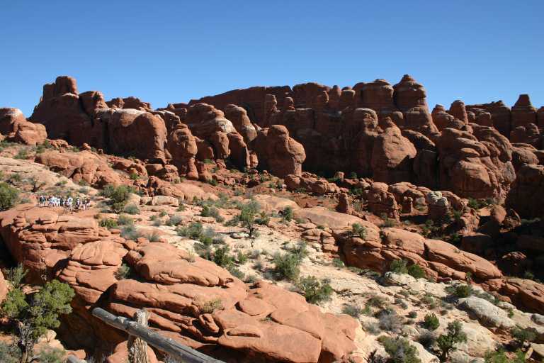 040915_ARMO_012.JPG (71069 Byte)