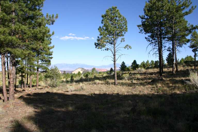 040916_MOST_034.JPG (65239 Byte)