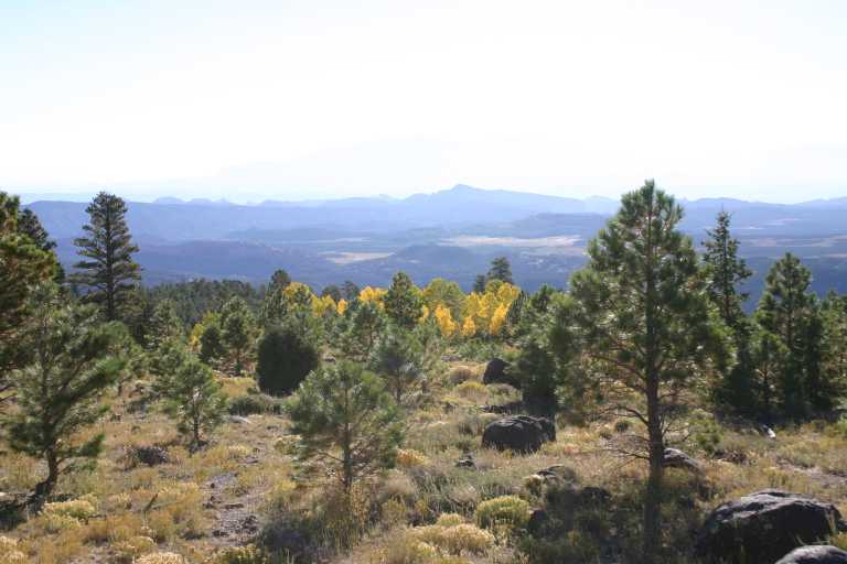 040917_STBC_002.JPG (50389 Byte)