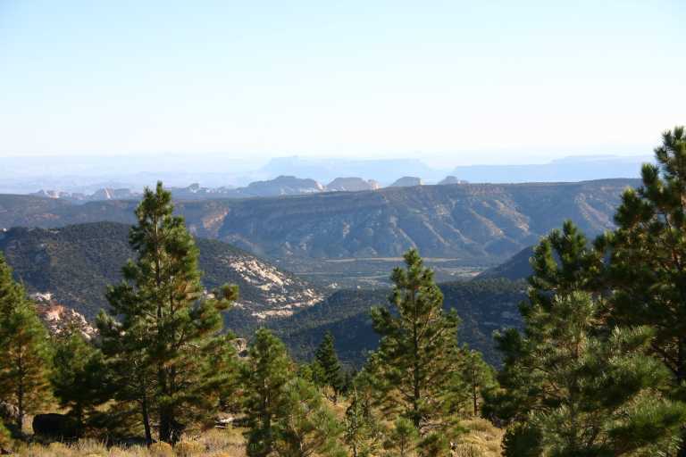 040917_STBC_005.JPG (48042 Byte)