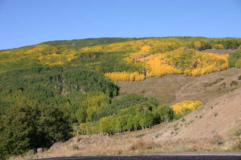 040917_STBC_007.JPG (56191 Byte)