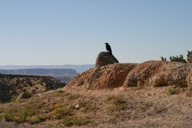 040917_STBC_013.JPG (48498 Byte)