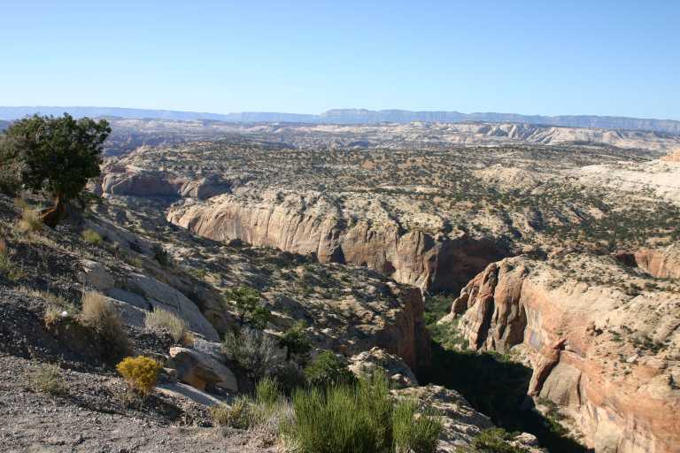 040917_STBC_015.JPG (70851 Byte)