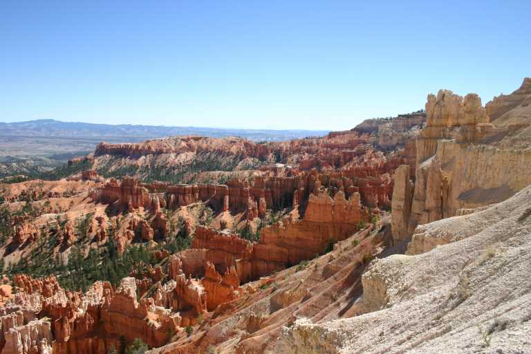 040917_STBC_022.JPG (62032 Byte)