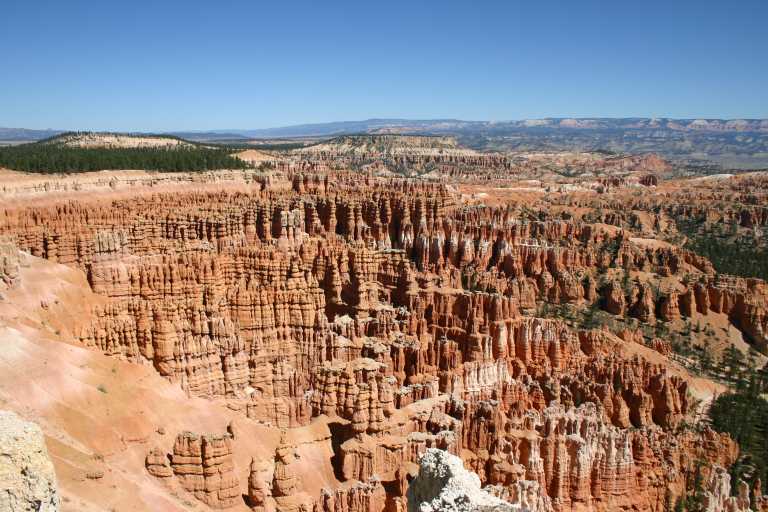 040917_STBC_024.JPG (79881 Byte)