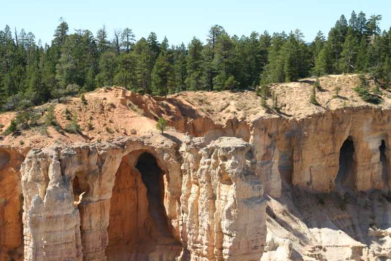 040917_STBC_035.JPG (70507 Byte)