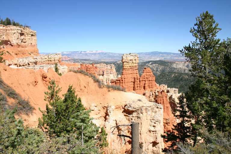 040917_STBC_054.JPG (77457 Byte)