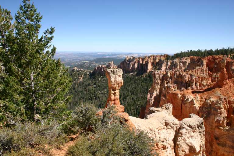 040917_STBC_055.JPG (76861 Byte)