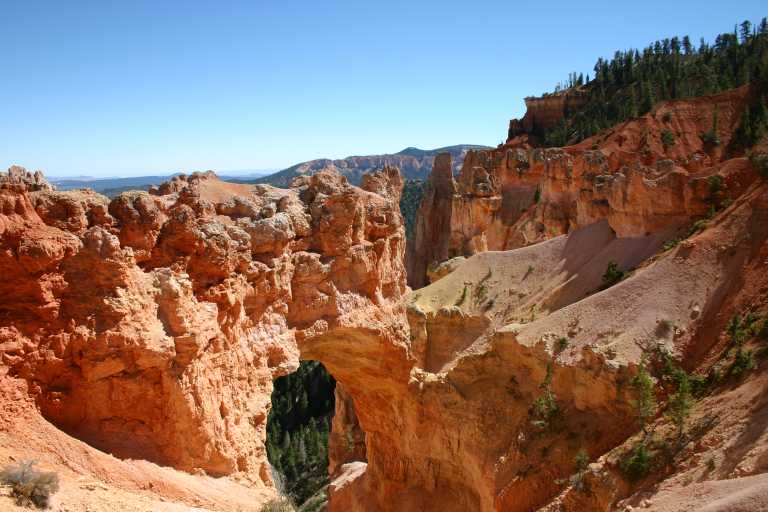 040917_STBC_057.JPG (63832 Byte)