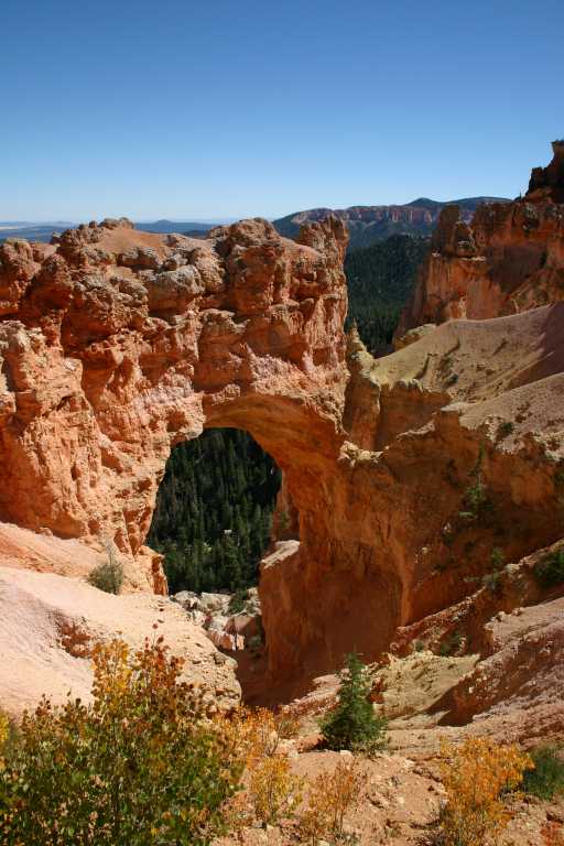 040917_STBC_058.JPG (65397 Byte)