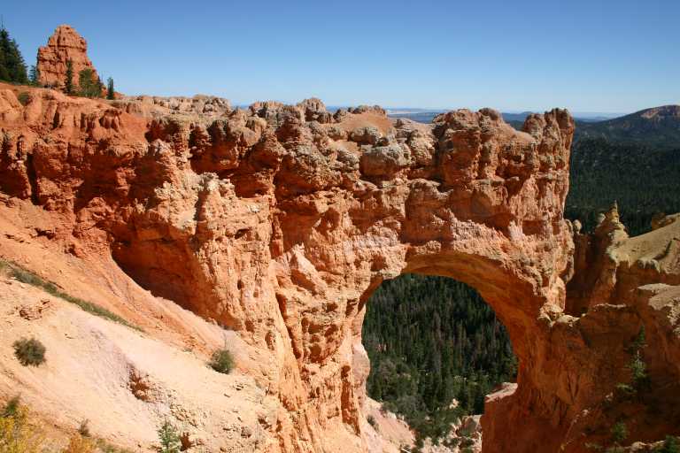 040917_STBC_059.JPG (69360 Byte)