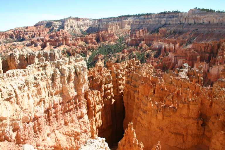 040917_STBC_072.JPG (79795 Byte)