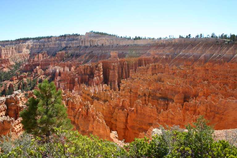 040917_STBC_075.JPG (66969 Byte)