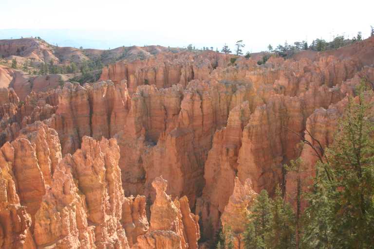 040918_BRYC_008.JPG (52613 Byte)