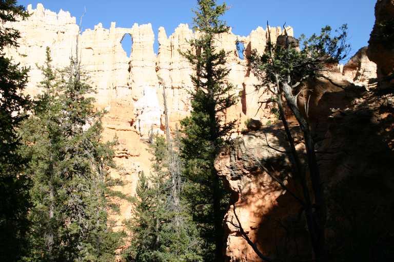 040918_BRYC_013.JPG (82369 Byte)